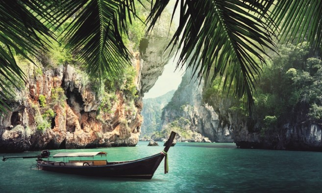 a jungle in singapore